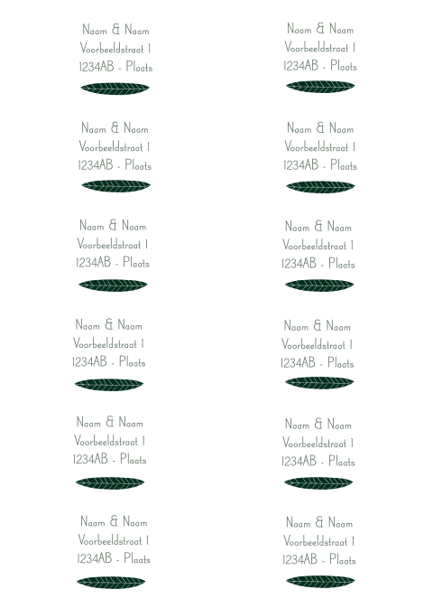 Adressticker blaadje | 94 x 45 mm